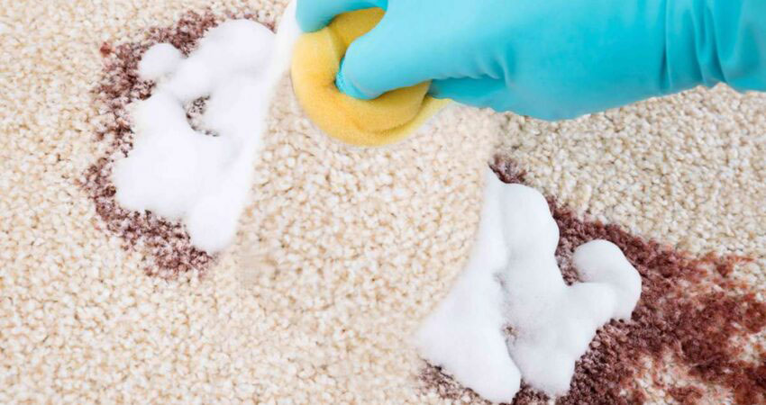 Halıdan Leke Nasıl Çıkar